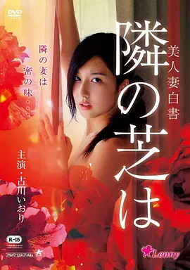 西部电影荒原回声海报
